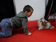 Давид се забавлява с кучето на певицата Милена