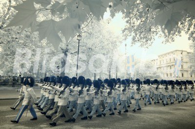 Шествие по улиците на Лондон - сн. Guliver Photos / Getty Images