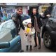 БГ звездни раздели на 2011 г