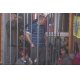 Звездите не изпълниха завета на Тити Папазов