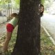 NG Kids отличи снимки на малките си читатели